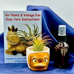 Mini DOG Planter Air Plant Set - Spanish Moss Fine Mist Sprayer FREE Air Plant